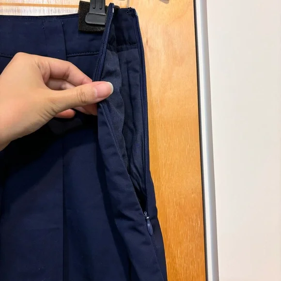 Anthropologie Pleated Midi Skirt - Picture 9 of 15